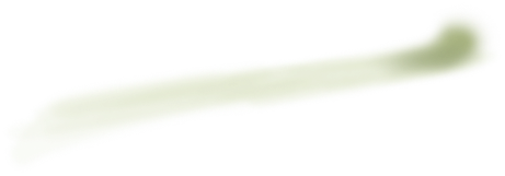 shadow_of_spray
